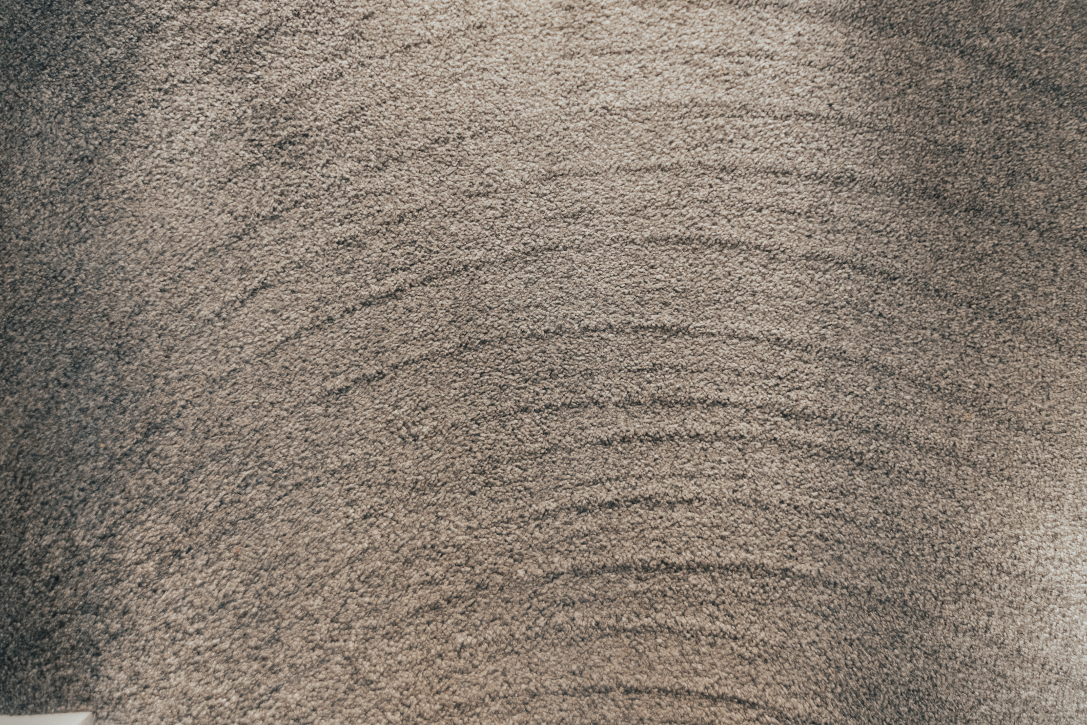 Carpet & Upholstery